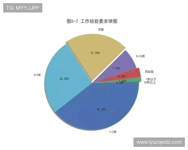 杭州羽毛球队个人能力分析与表现评估探讨