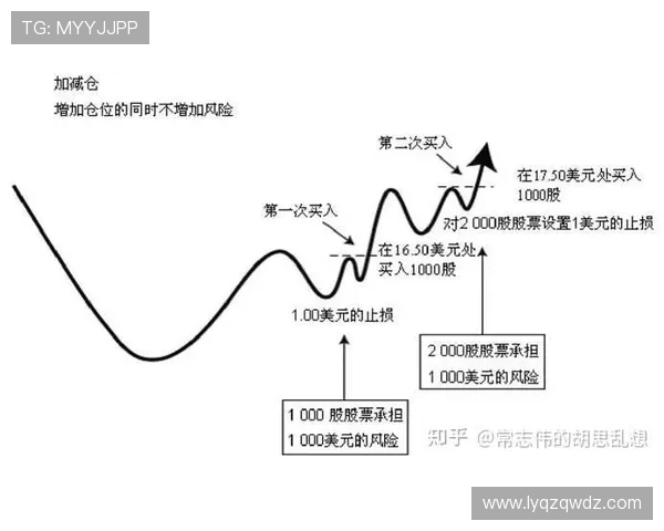 深圳网球队与北京网球队赛后复盘团队协作的关键因素与启示