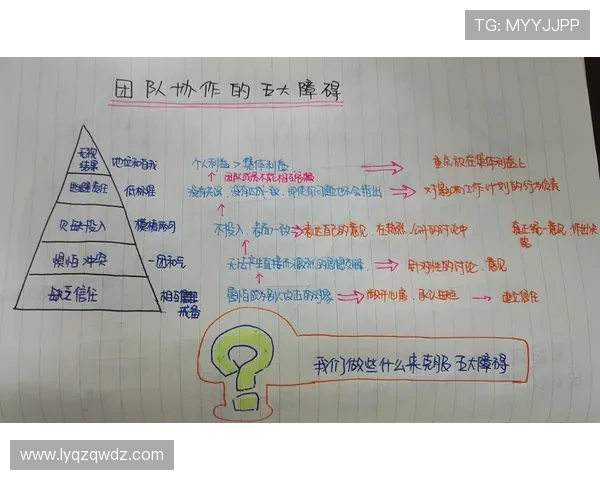 武汉排球队灵活性解析：战术创新与团队协作的完美结合